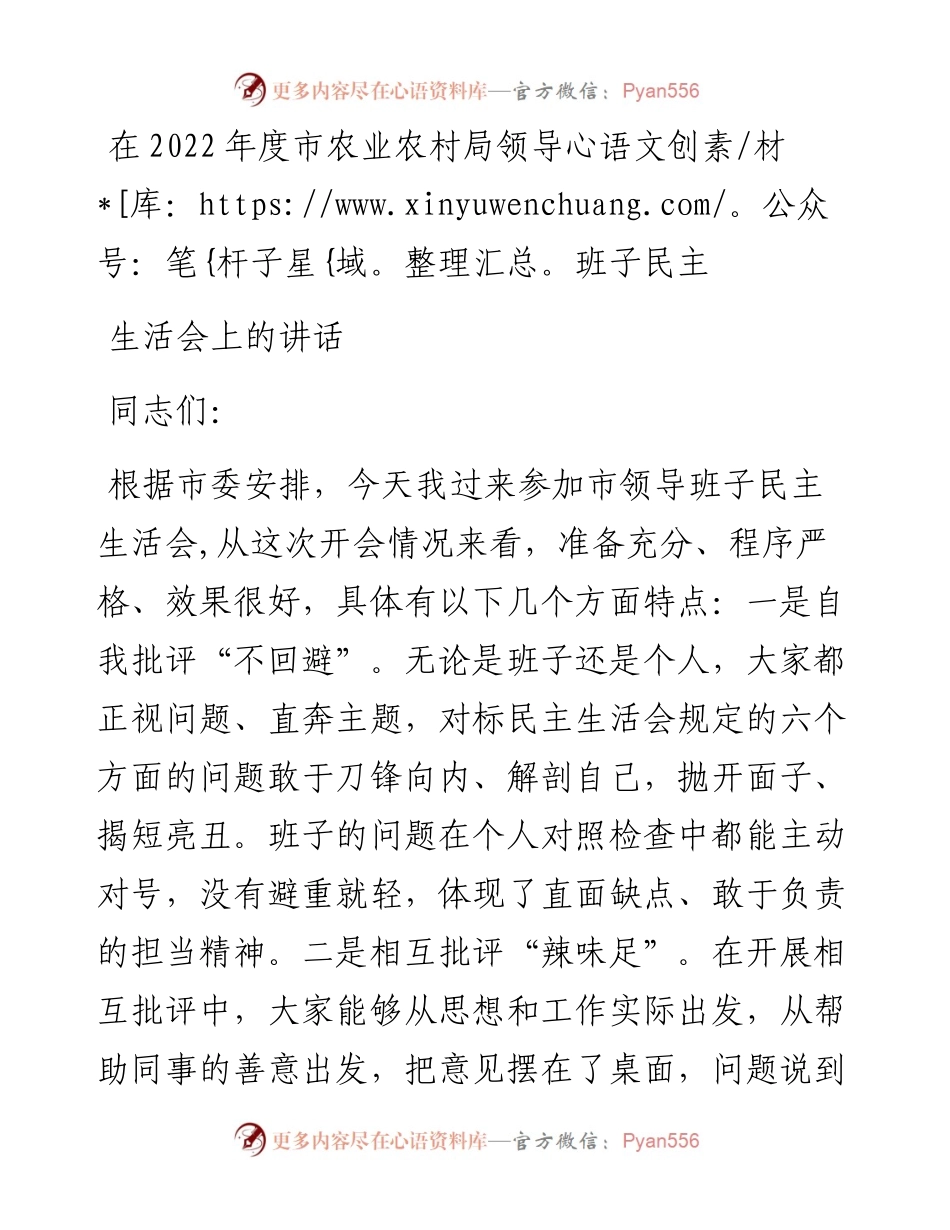 在度市农业农村局领导班子民主生活会上的讲话.docx_第1页