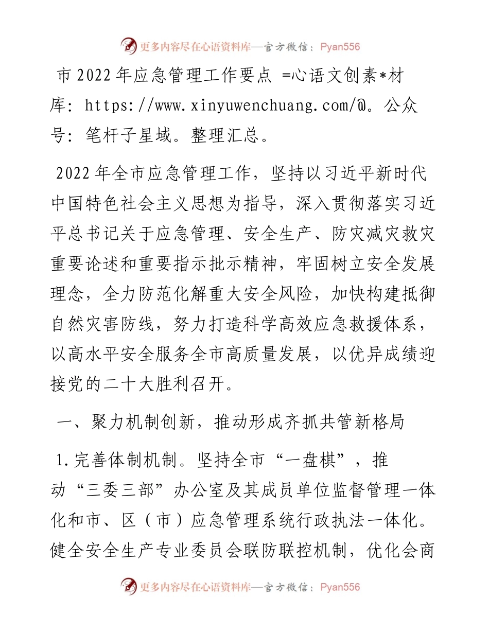 市202X年应急管理工作要点.docx_第1页