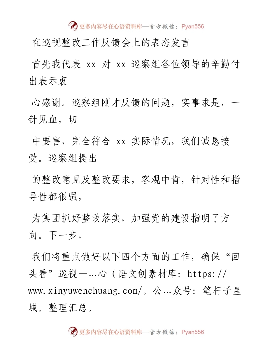 巡视整改回头看表态发言.docx_第1页
