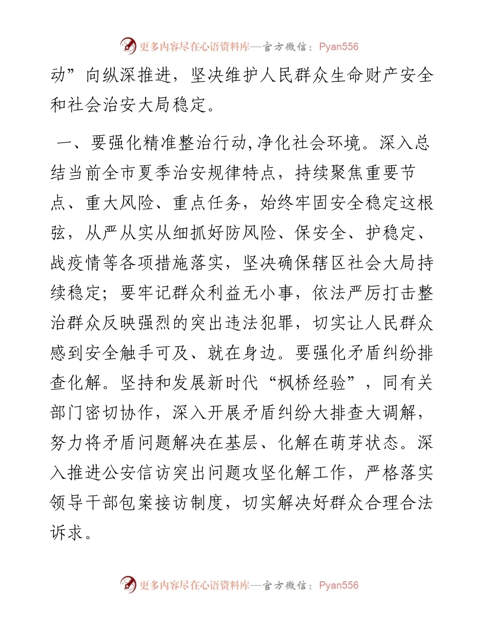 在市级公安夏季治安打击整治“百日行动”工作推进会上的讲话.docx_第2页