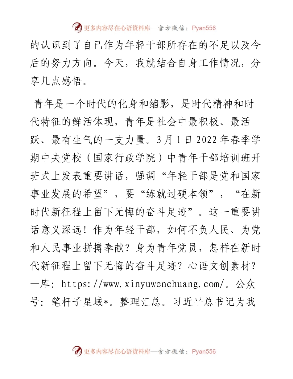 在青年干部座谈会上的发言材料.docx_第2页