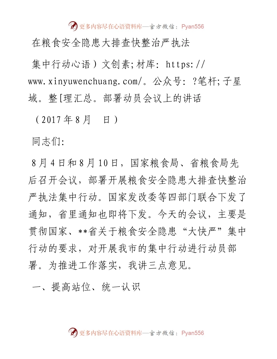 在粮食安全隐患大排查快整治严执法集中行动部署动员会议上的讲话.docx_第1页