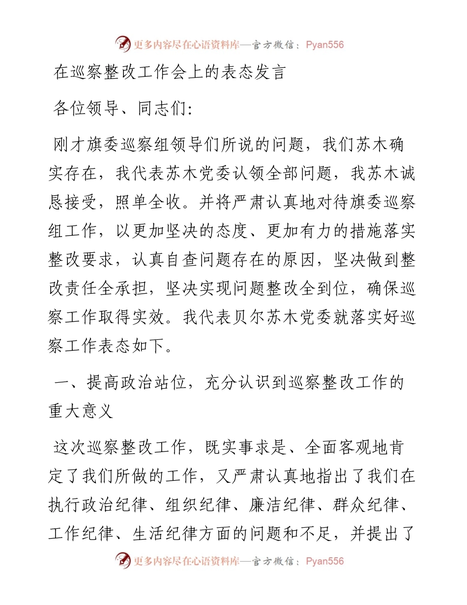 在巡察整改工作会上的表态发言.docx_第1页