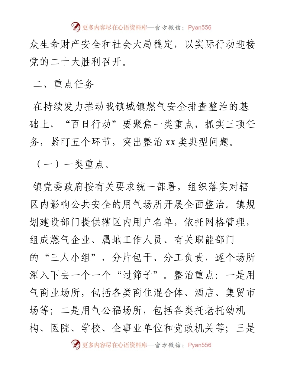 城镇燃气安全整治“百日行动”实施方案.docx_第2页