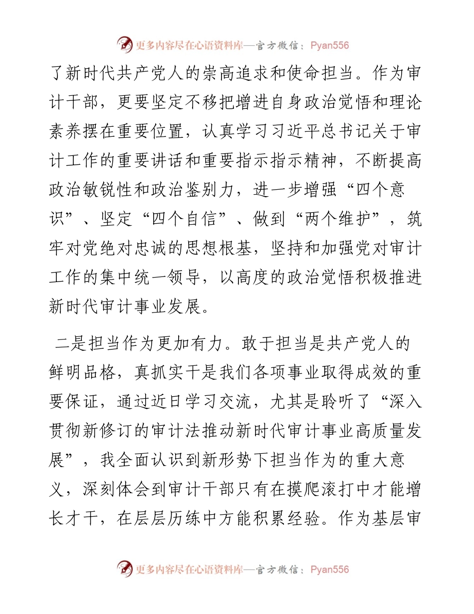 审计人培训心得.docx_第2页
