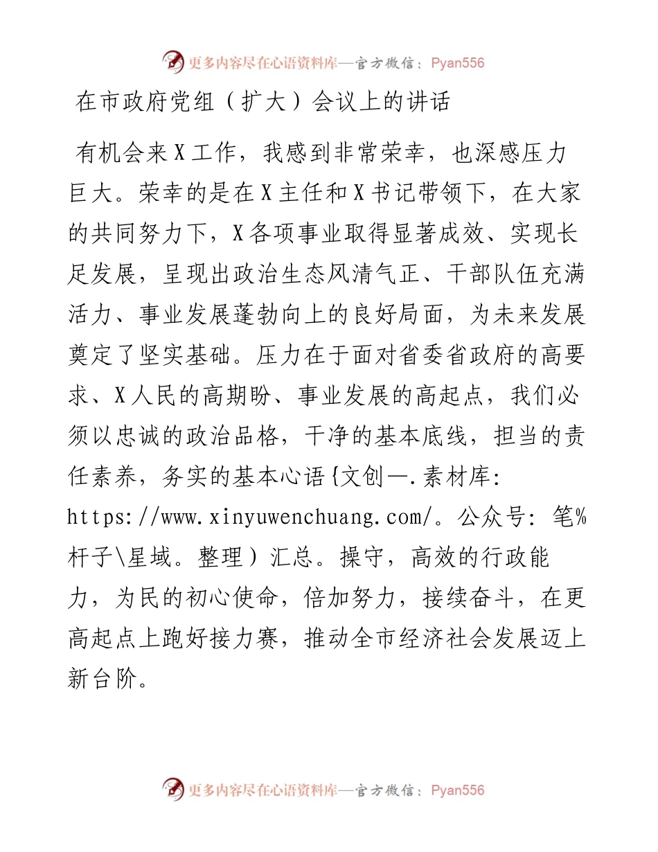 在市政府党组（扩大）会议上的讲话_5.docx_第1页