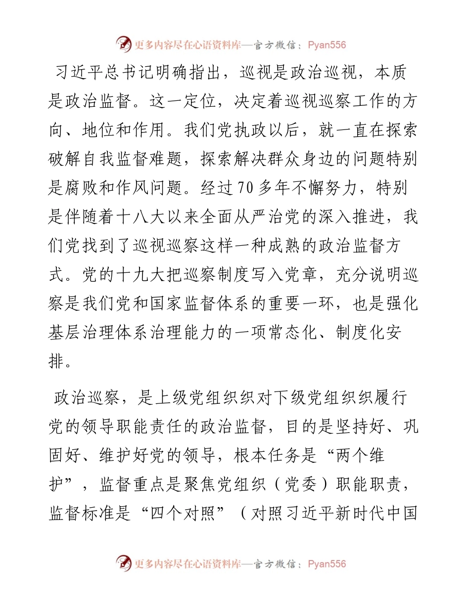 在巡察县委宣传部党支部动员会上的讲话.docx_第2页