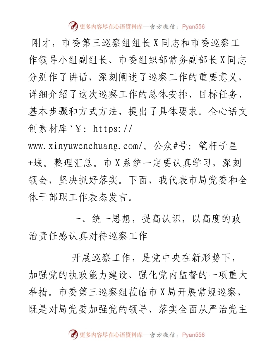 在市委第一巡察组巡察市党委工作动员会上的表态发言.docx_第1页