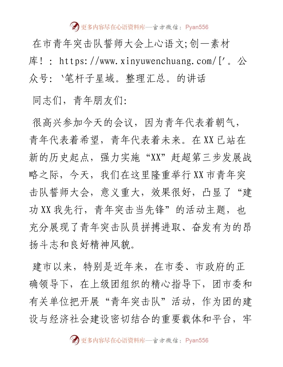 在市青年突击队誓师大会上的讲话_4.docx_第1页