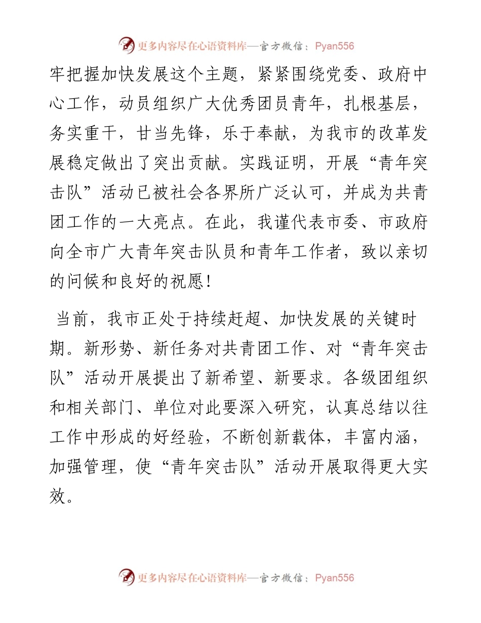 在市青年突击队誓师大会上的讲话_4.docx_第2页