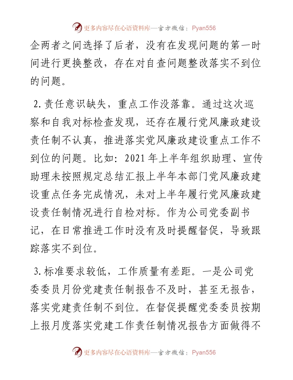 巡察整改专题民主生活会个人发言提纲.docx_第2页