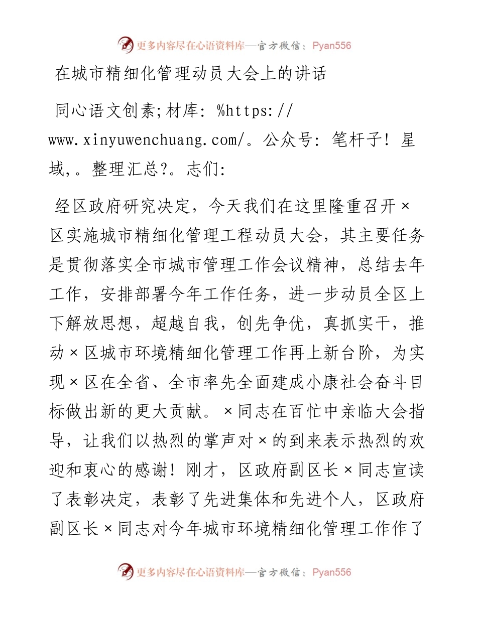 在城市精细化管理动员大会上的讲话.docx_第1页