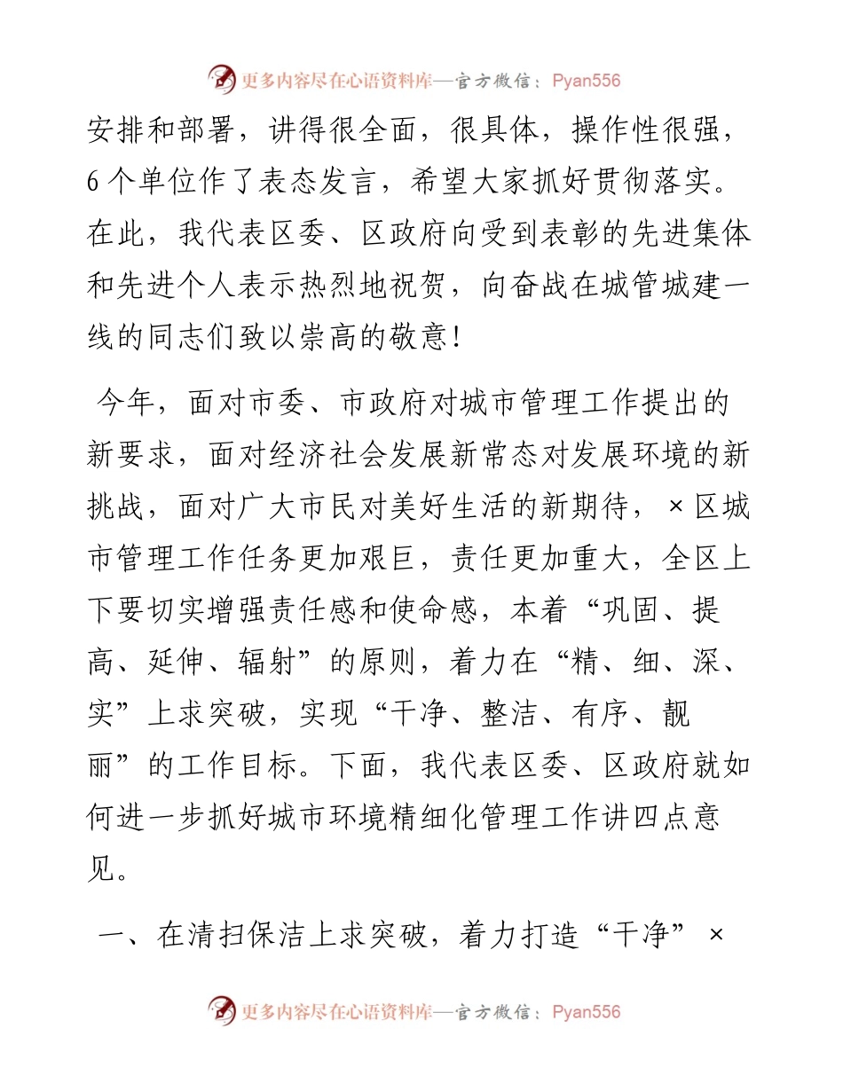 在城市精细化管理动员大会上的讲话.docx_第2页