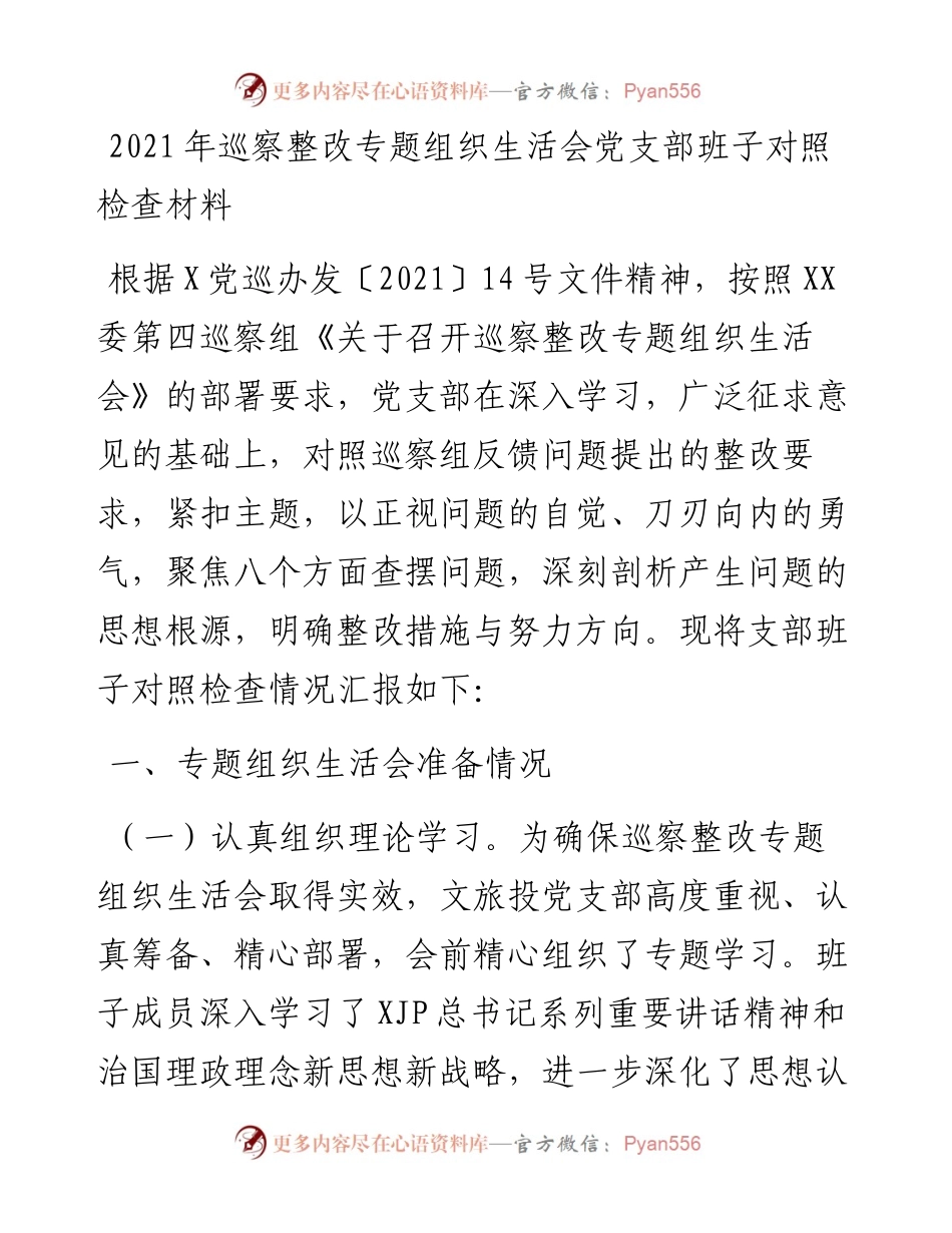 巡察整改专题组织生活会党支部班子对照检查材料.docx_第1页
