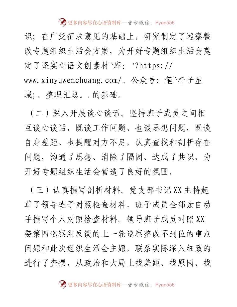 巡察整改专题组织生活会党支部班子对照检查材料.docx_第2页