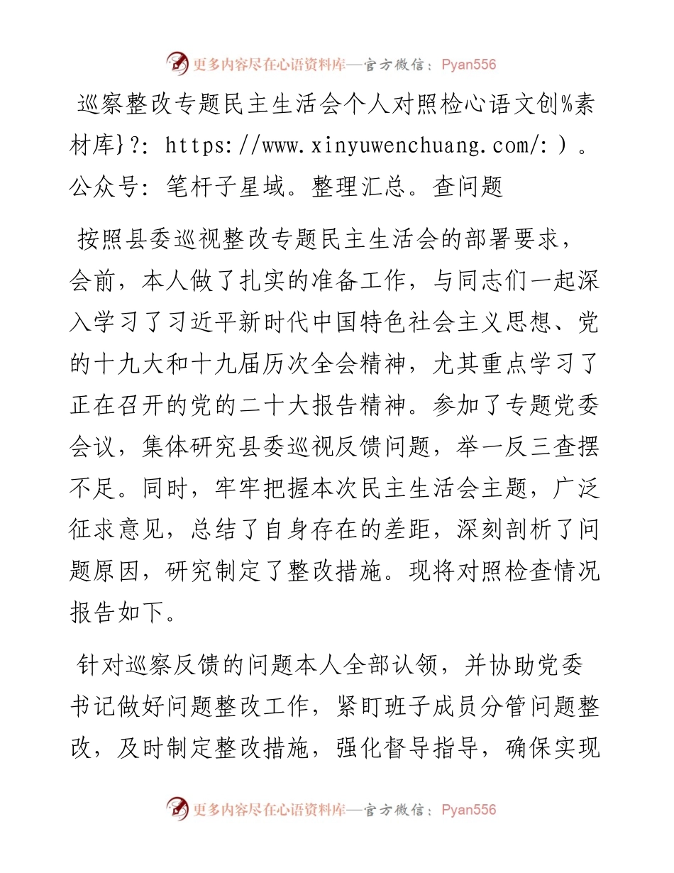 巡察整改专题民主生活会个人对照检查问题.docx_第1页