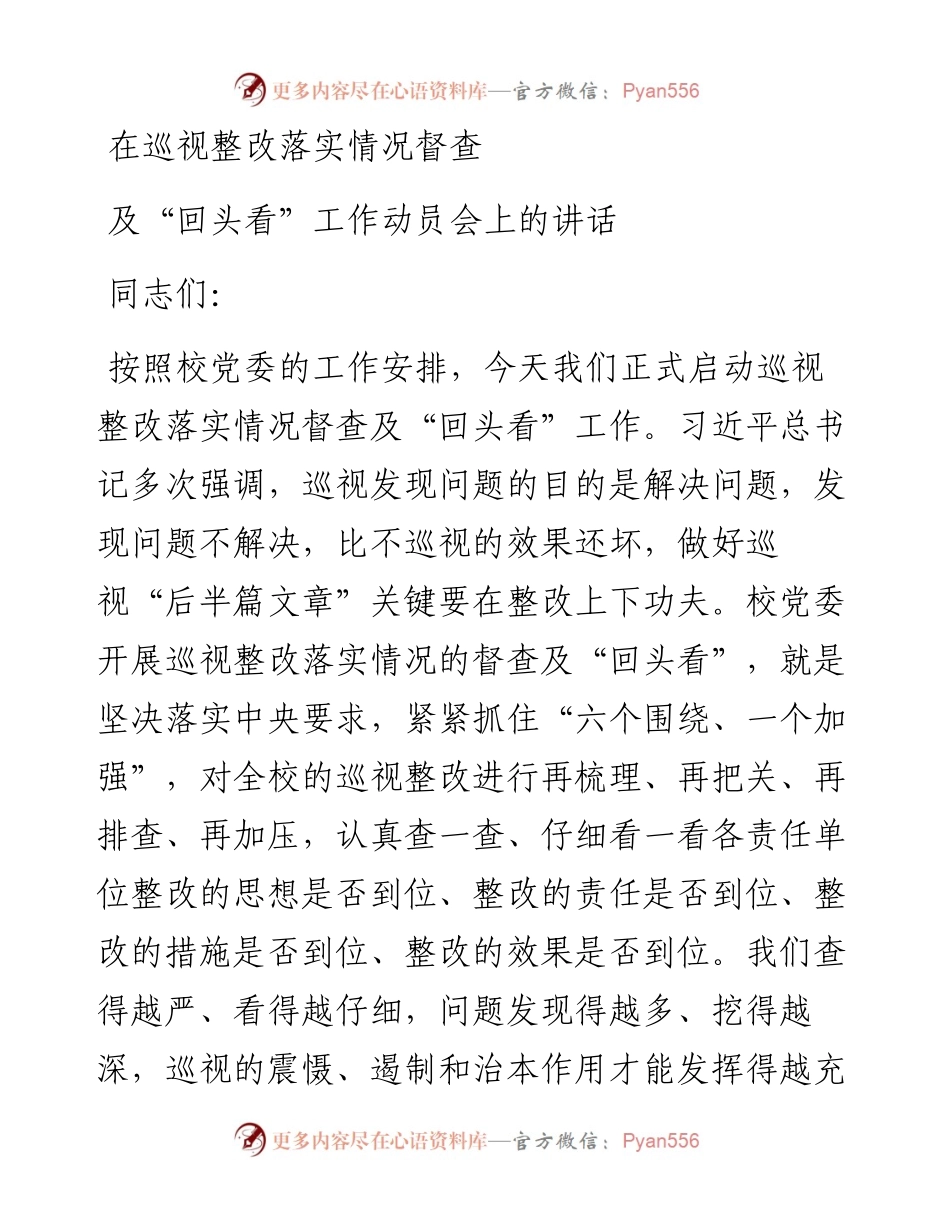 在巡视整改落实情况督查及回头看工作动员会上的讲话.docx_第1页