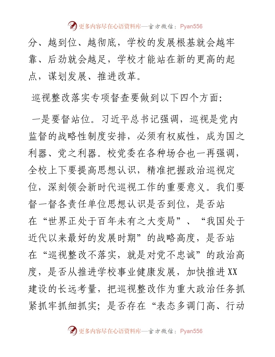 在巡视整改落实情况督查及回头看工作动员会上的讲话.docx_第2页