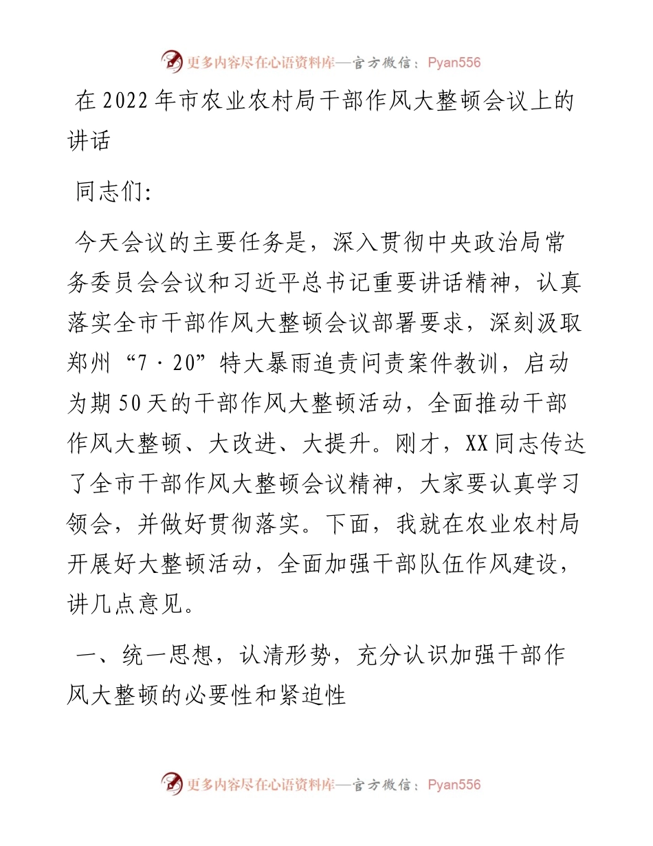 在市农业农村局干部作风大整顿会议上的讲话.docx_第1页