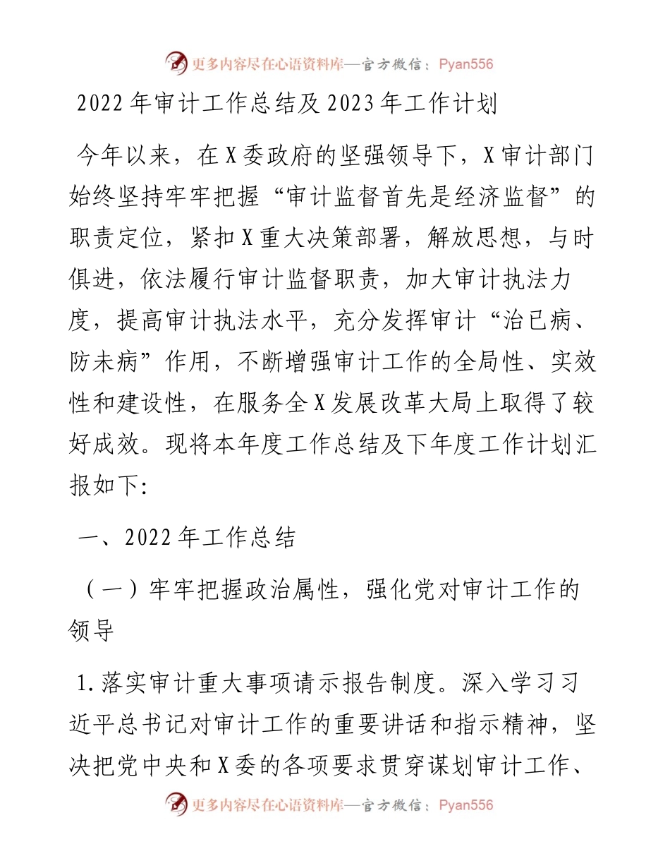 审计工作总结及2023年工作计划.docx_第1页