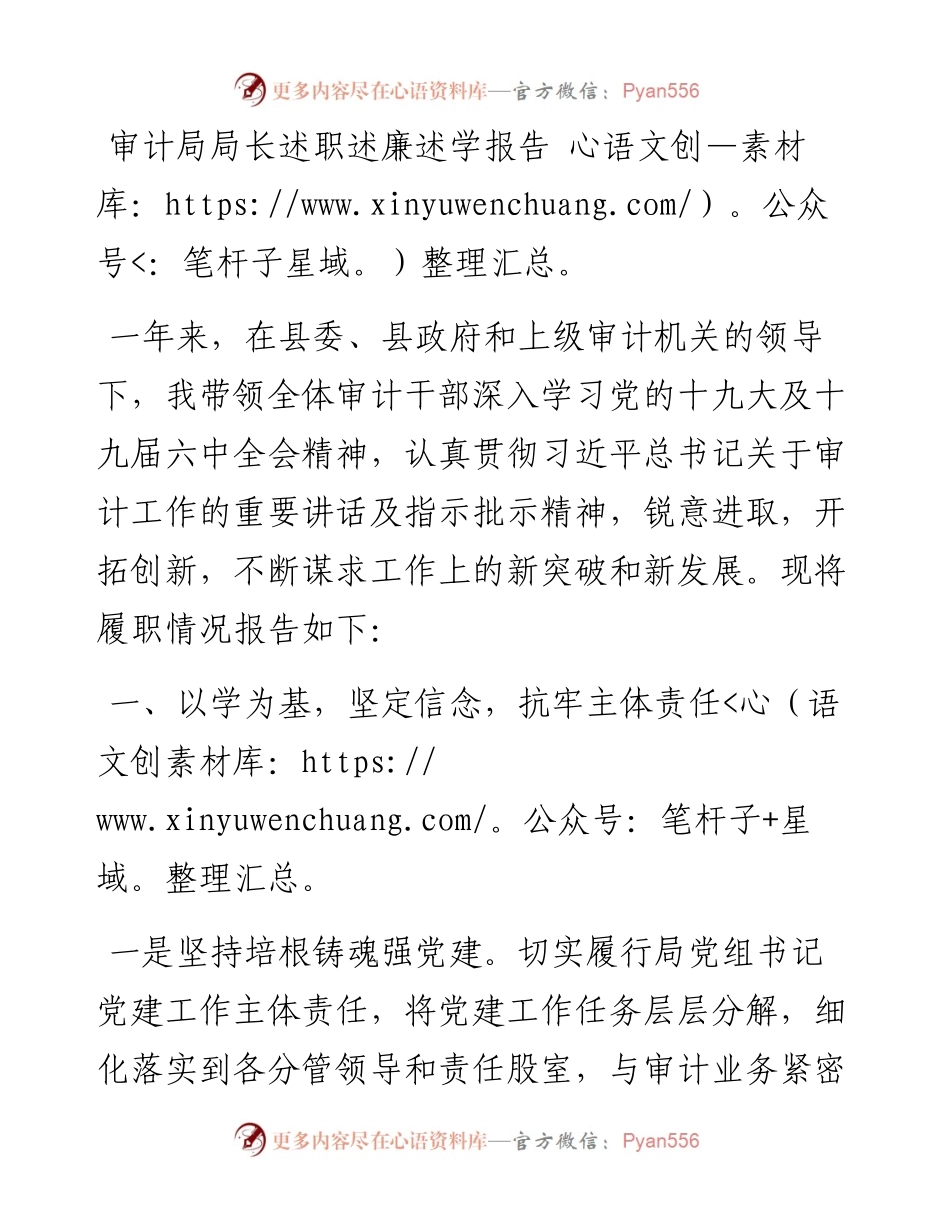 审计局局长述职述廉述学报告.docx_第1页