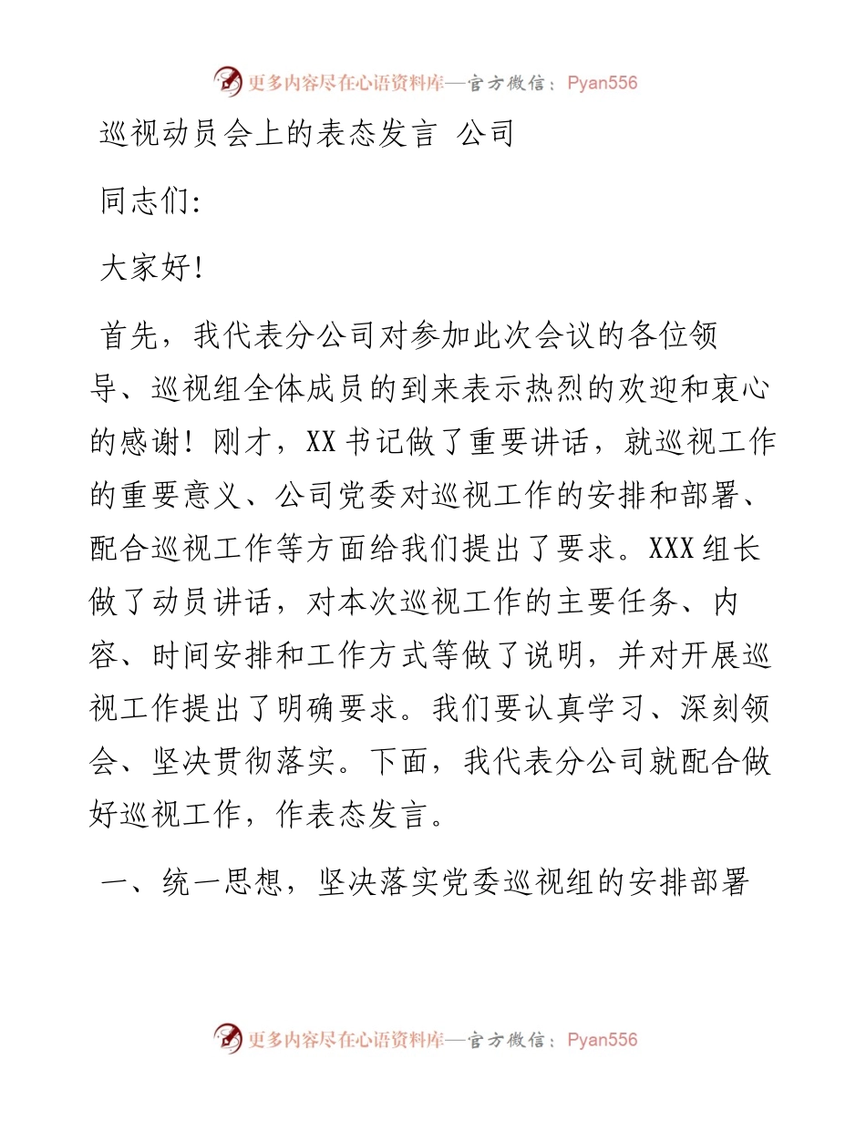 巡视动员会上的表态发言---公司.docx_第1页