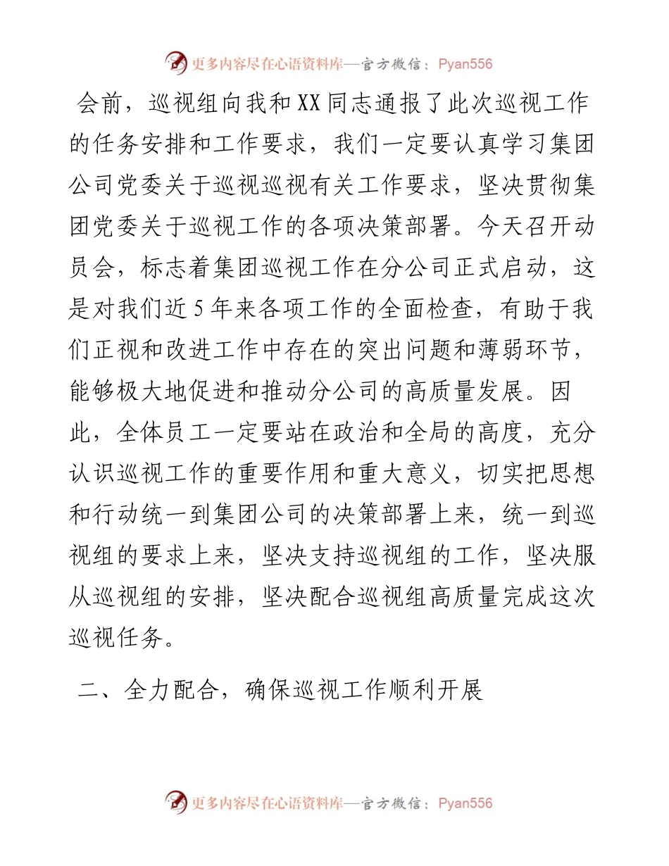 巡视动员会上的表态发言---公司.docx_第2页