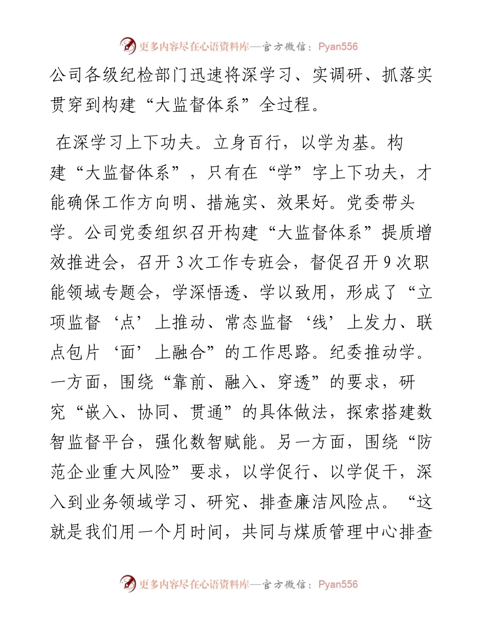在国有企业纪检监察大监督体系建设推进会上的汇报发言.docx_第2页