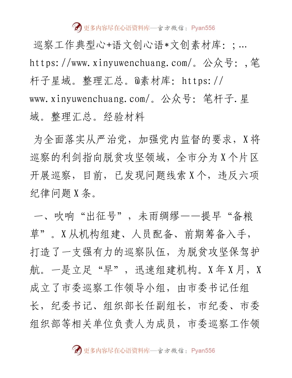 巡察经验材料.docx_第1页