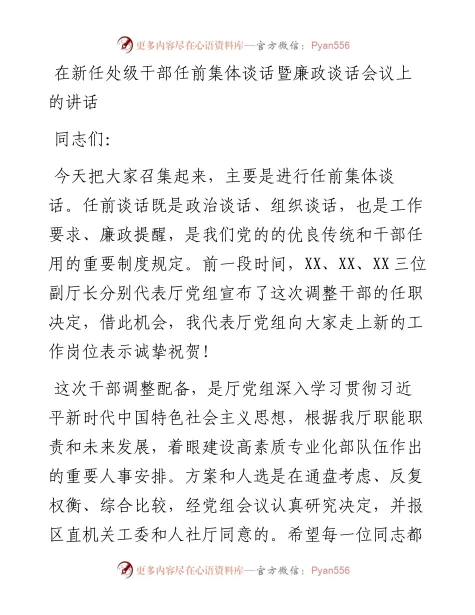在新任处级干部任前集体谈话暨廉政谈话会议上的讲话.docx_第1页