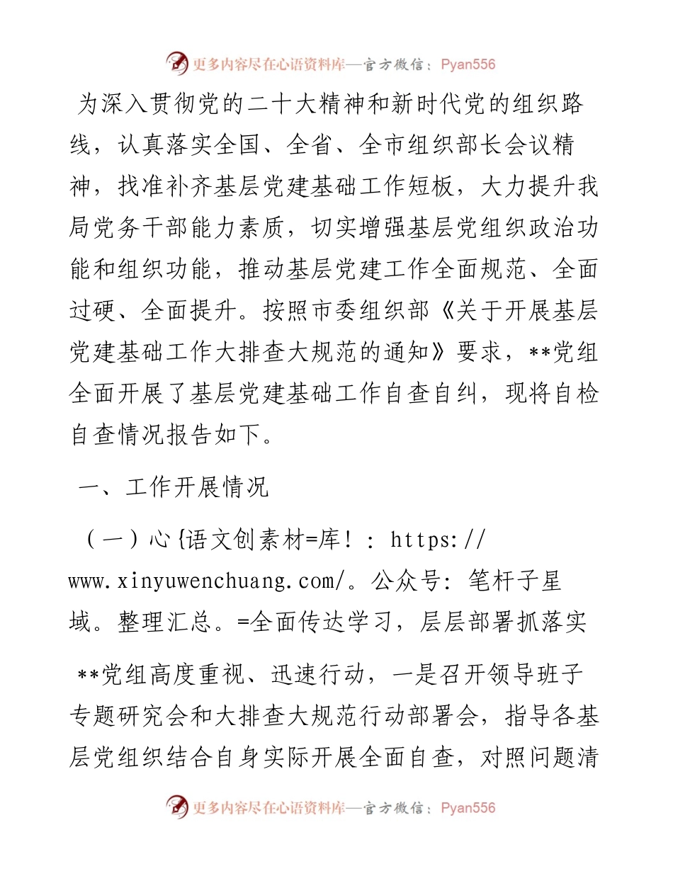 局党建基础工作大排查大规范自检自查报告.docx_第1页