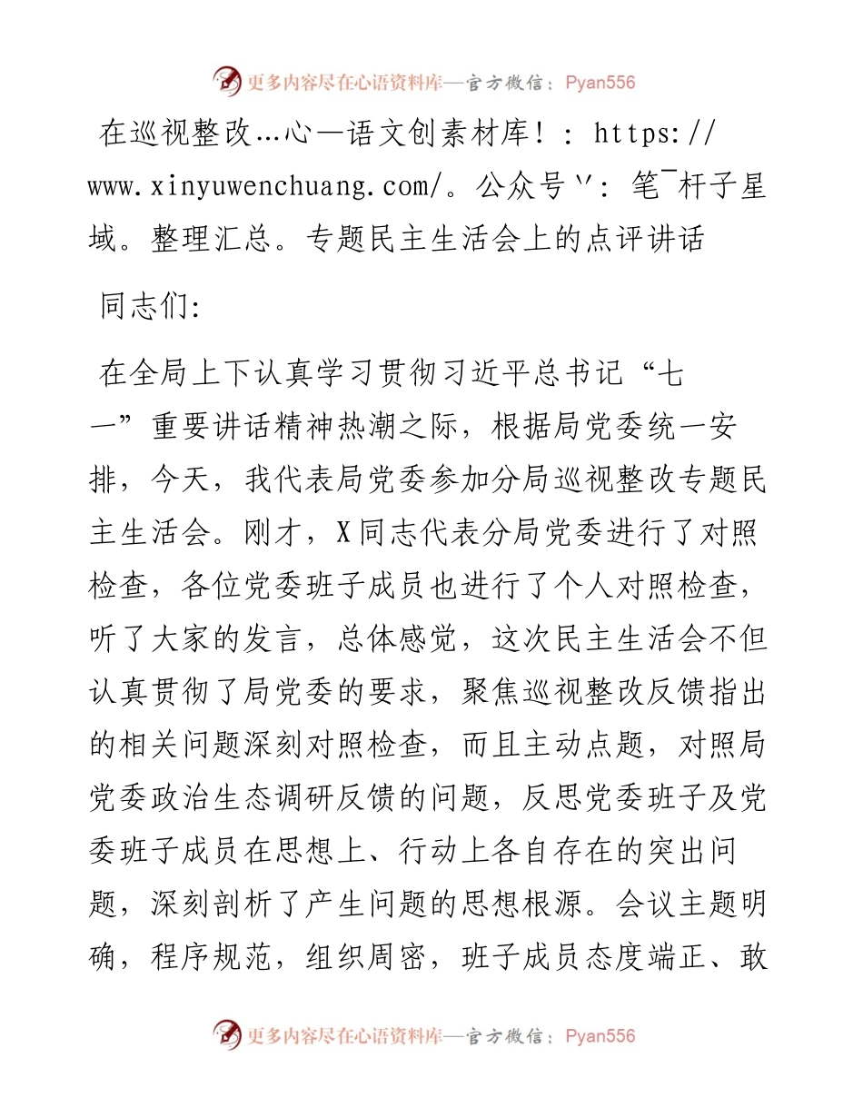 在巡视整改专题民主生活会上的点评讲话_4.docx_第1页