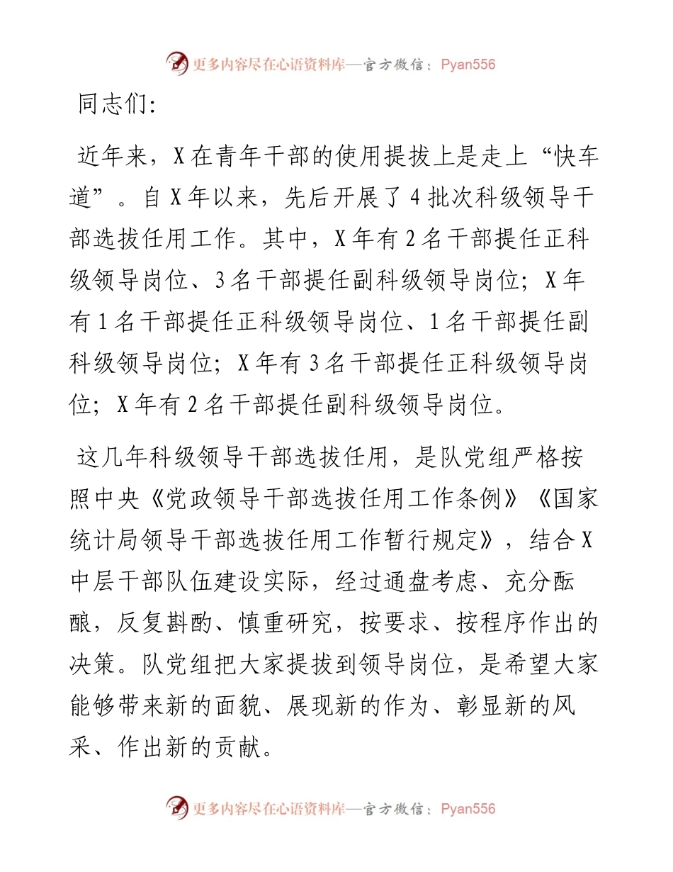 在新晋升职务人员进行宪法宣誓暨集体任职谈话、廉政谈话会上的讲话.docx_第1页