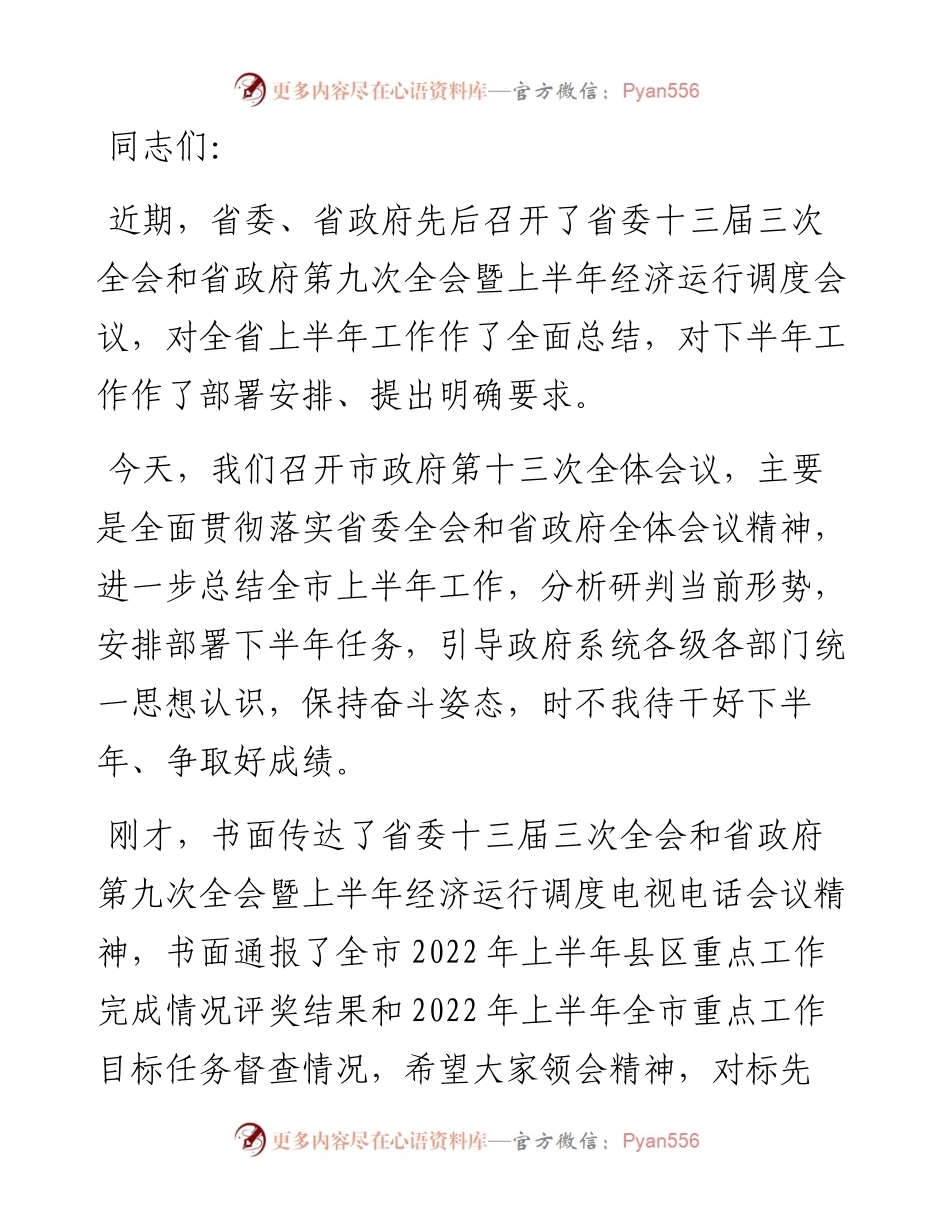 在市政府第十三次全体会议上的讲话.docx_第1页
