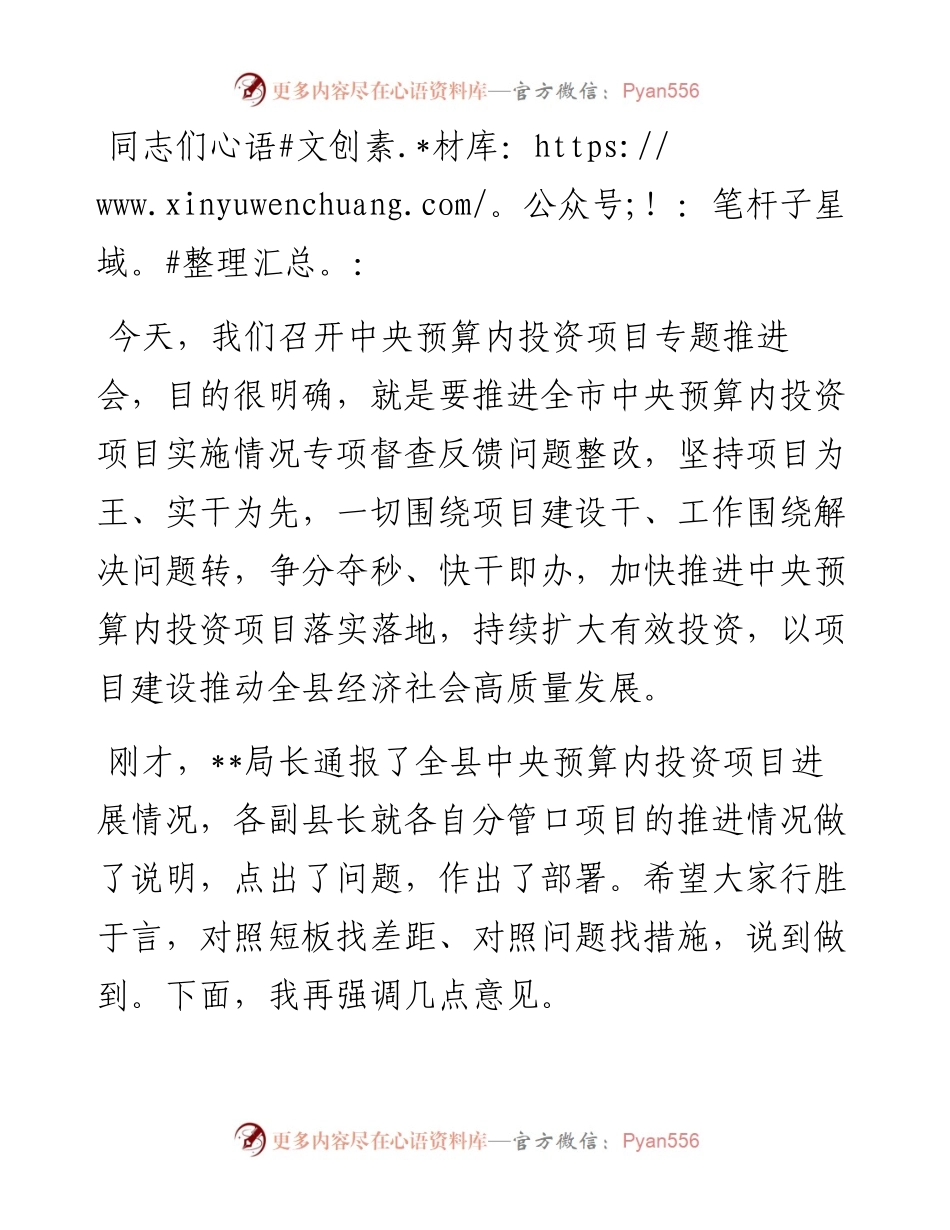 在预算内投资项目专题推进会上的讲话.docx_第1页
