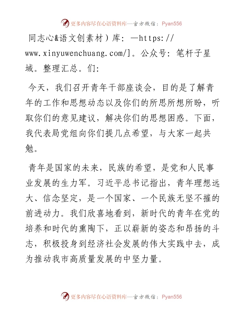 在青年干部座谈会上的讲话：砥砺青春之志，书写时代华章.docx_第1页