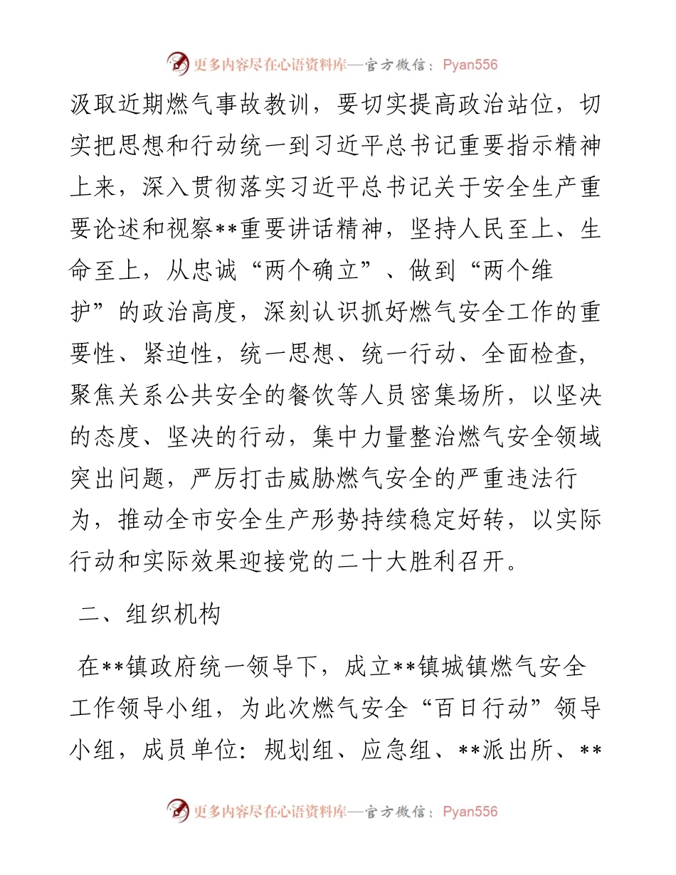 城镇燃气安全整治“百日行动”实施方案 (2).docx_第2页