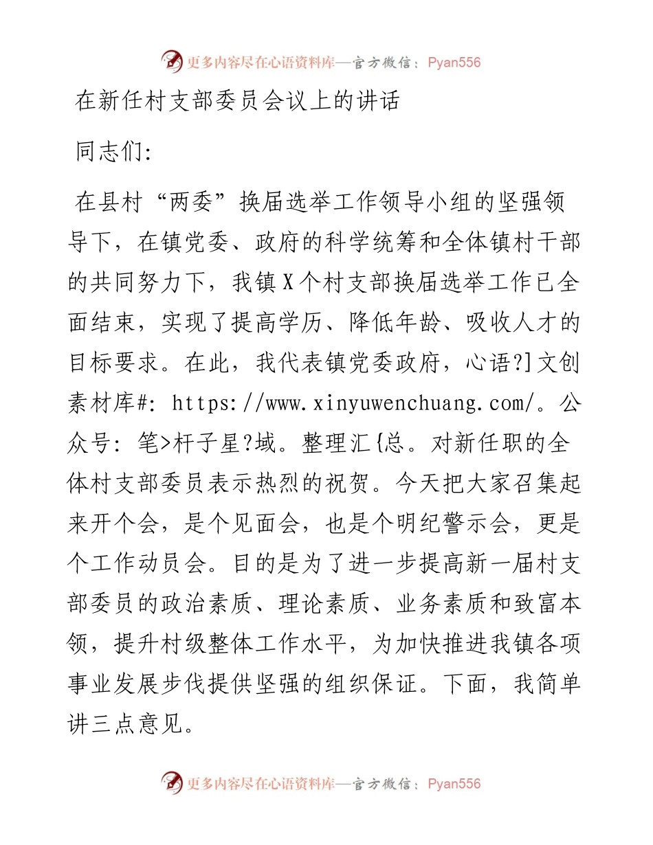 在新任村支部委员会议上的讲话_4.docx_第1页