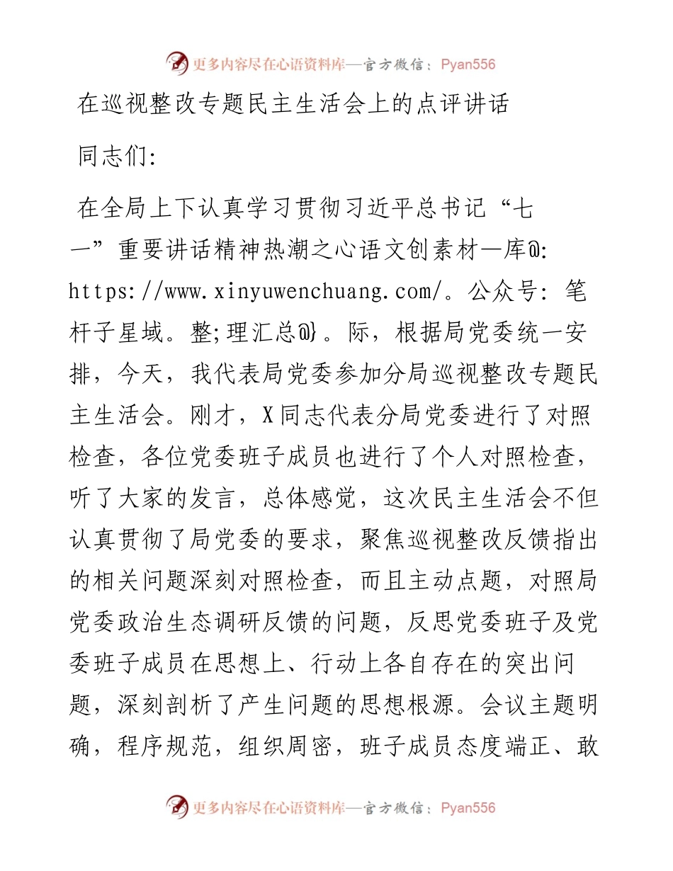 在巡视整改专题民主生活会上的点评讲话_5.docx_第1页