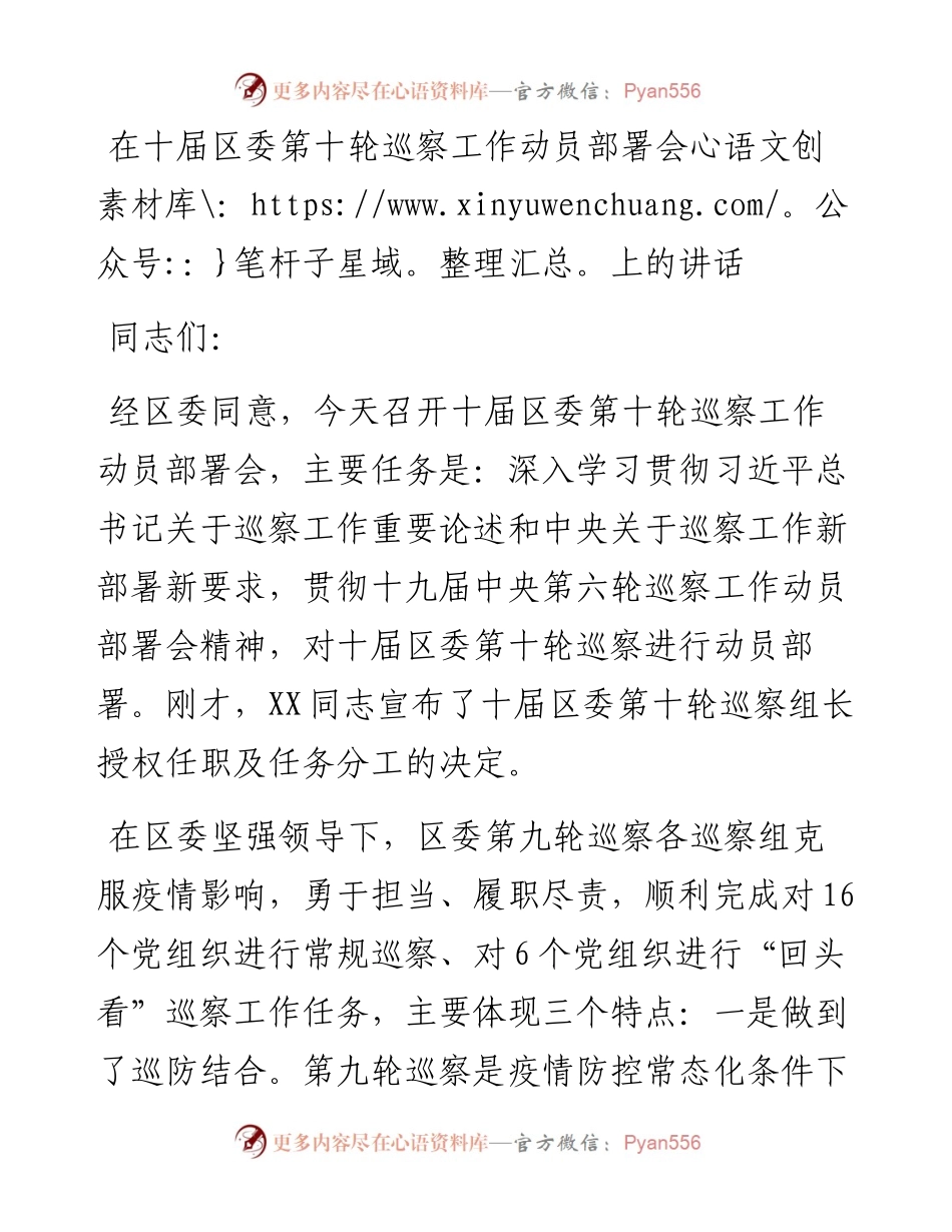 在十届区委第十轮巡察工作动员部署会上的讲话.docx_第1页