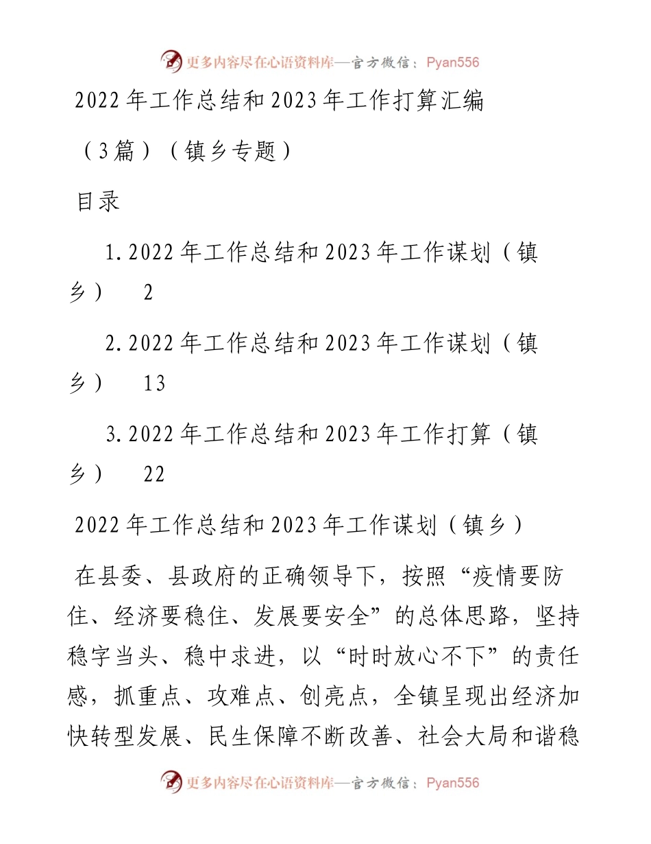 工作总结和2023年工作打算汇编（3篇）（镇乡专题）.docx_第1页