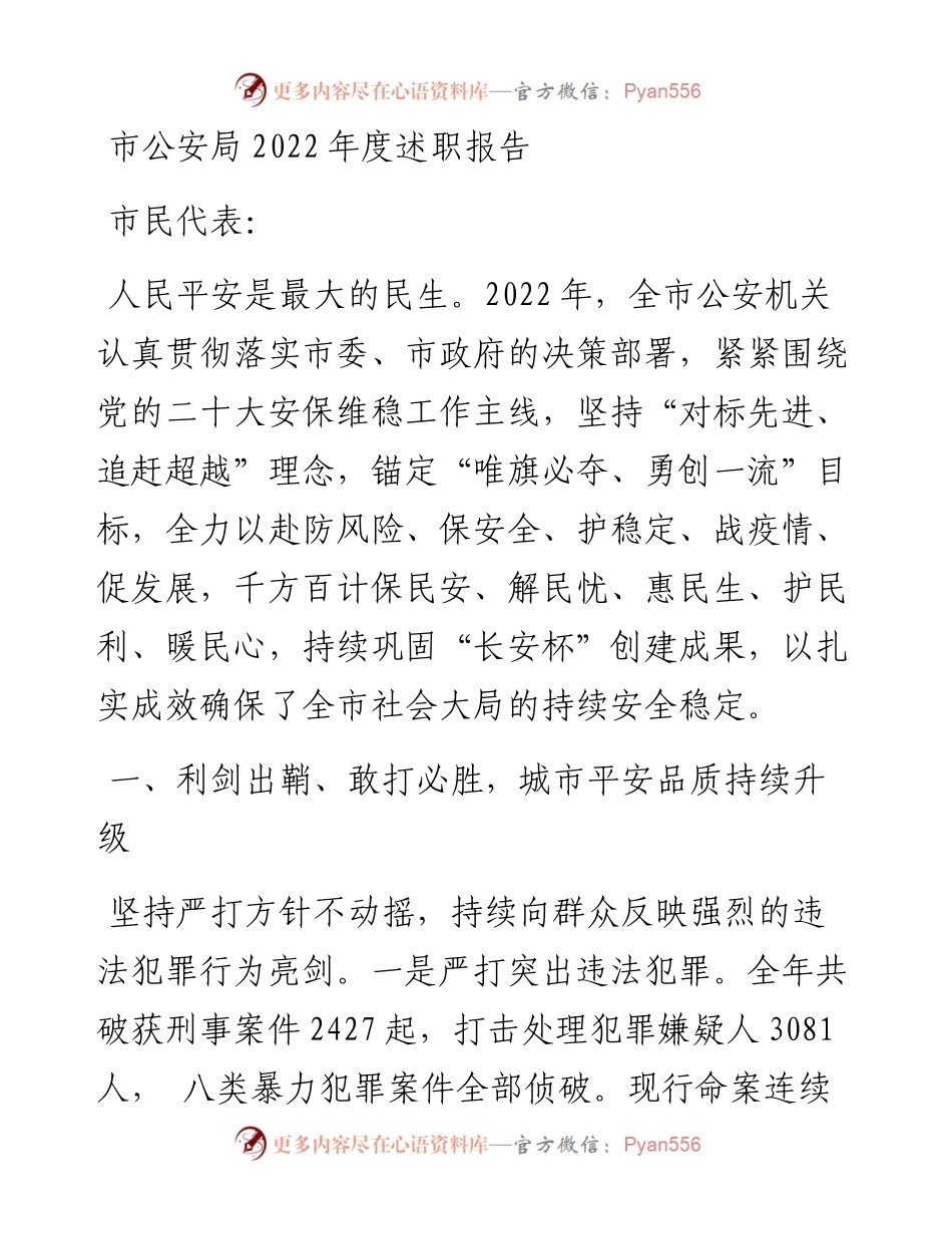 市公安局度述职报告.docx_第1页