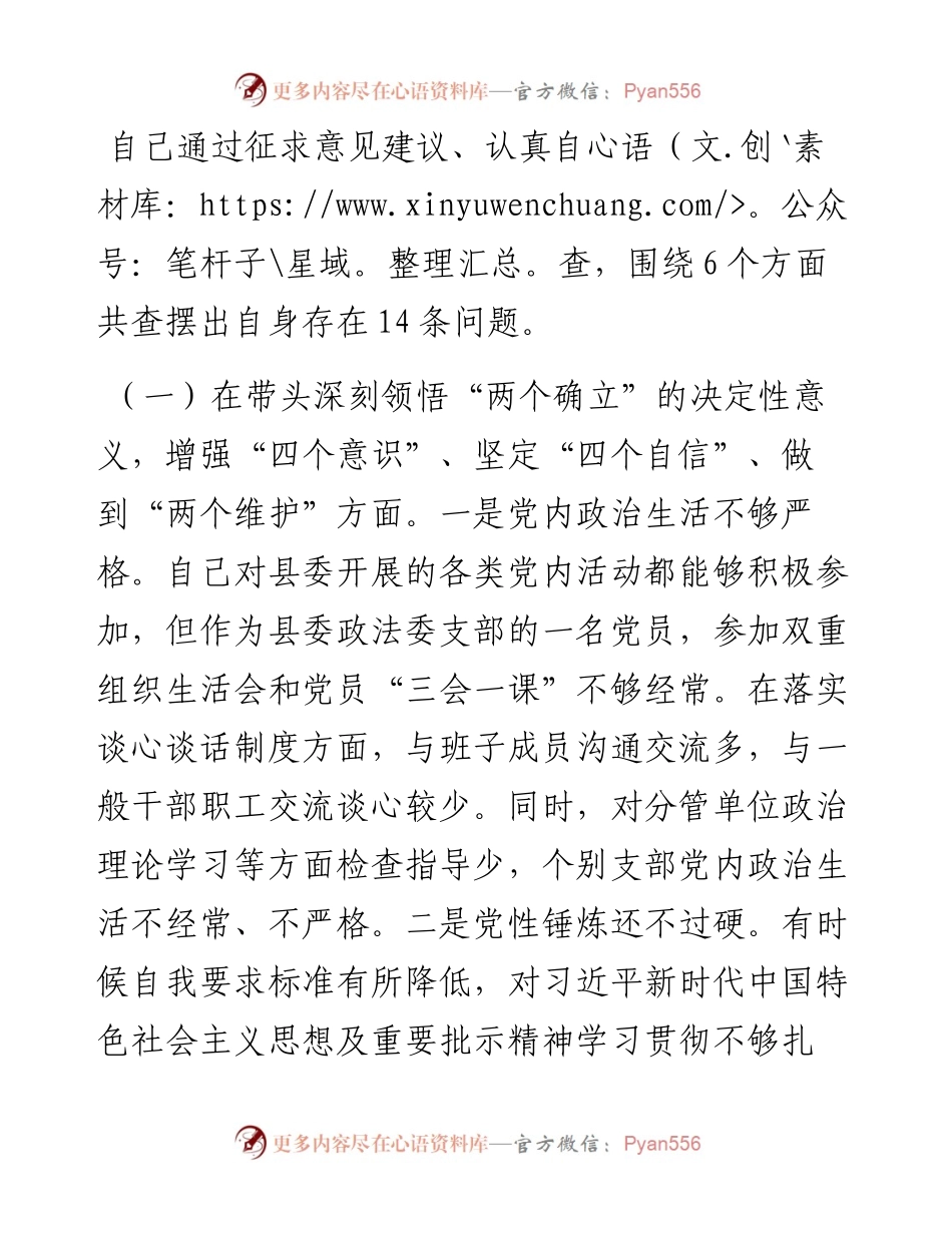 政法委书记度民主生活会发言提纲.docx_第2页