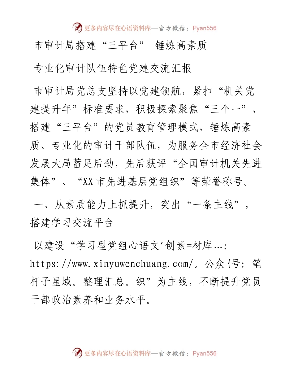 市审计局搭建“三平台” 锤炼高素质专业化审计队伍特色党建交流汇报.docx_第1页