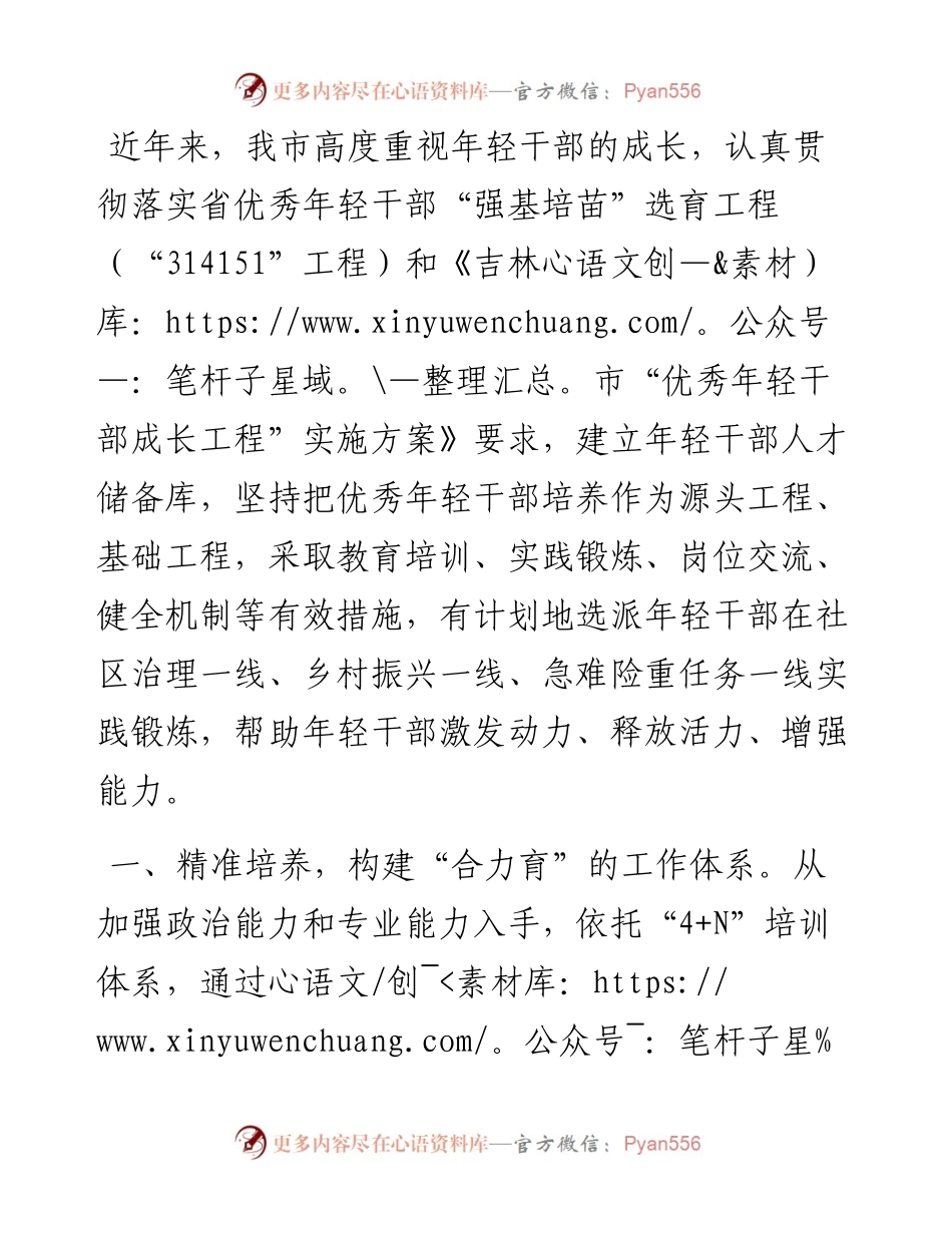 年轻干部培养提升工程经验交流材料.docx_第1页