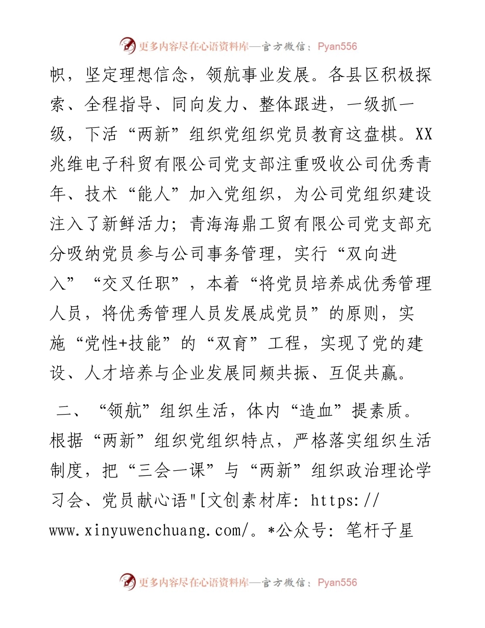 开展党员教育“领航计划”工作总结(1).docx_第2页