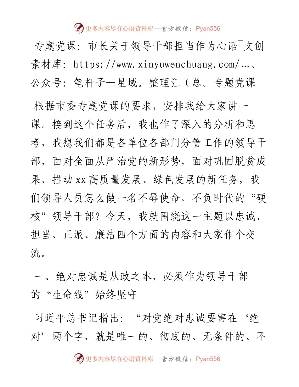 市长关于领导干部担当作为专题党课.docx_第1页
