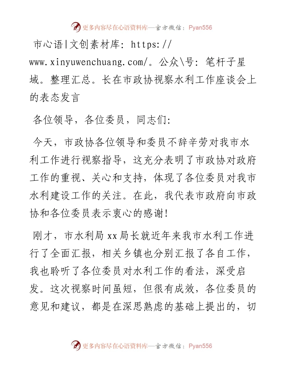 市长在市政协视察水利工作座谈会上的表态发言.docx_第1页