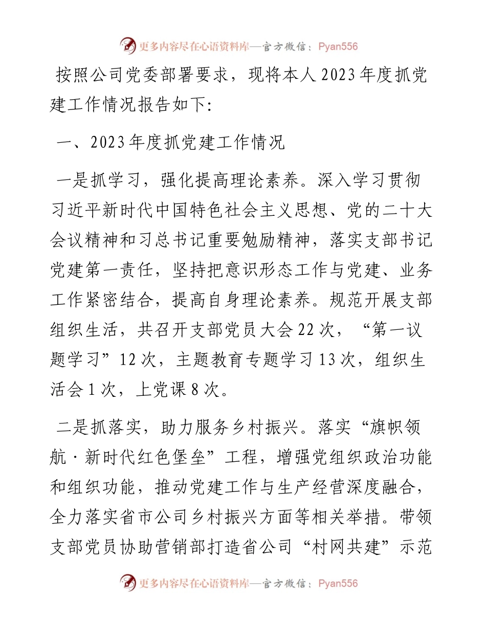 支部书记2023年度抓党建工作述职报告.docx_第1页