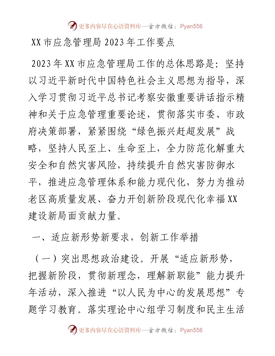 市应急管理局2023年工作要点.docx_第1页
